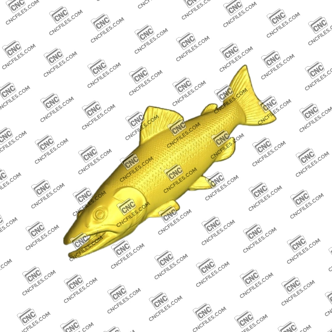 Rainbow Trout 1 3D Relief