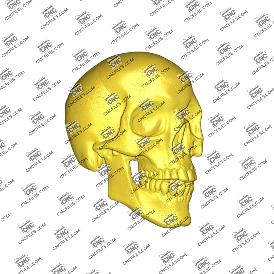 An image of 3D CNC file showing a detailed Skull 2 design, perfect for carving, woodworking, or decorative projects.