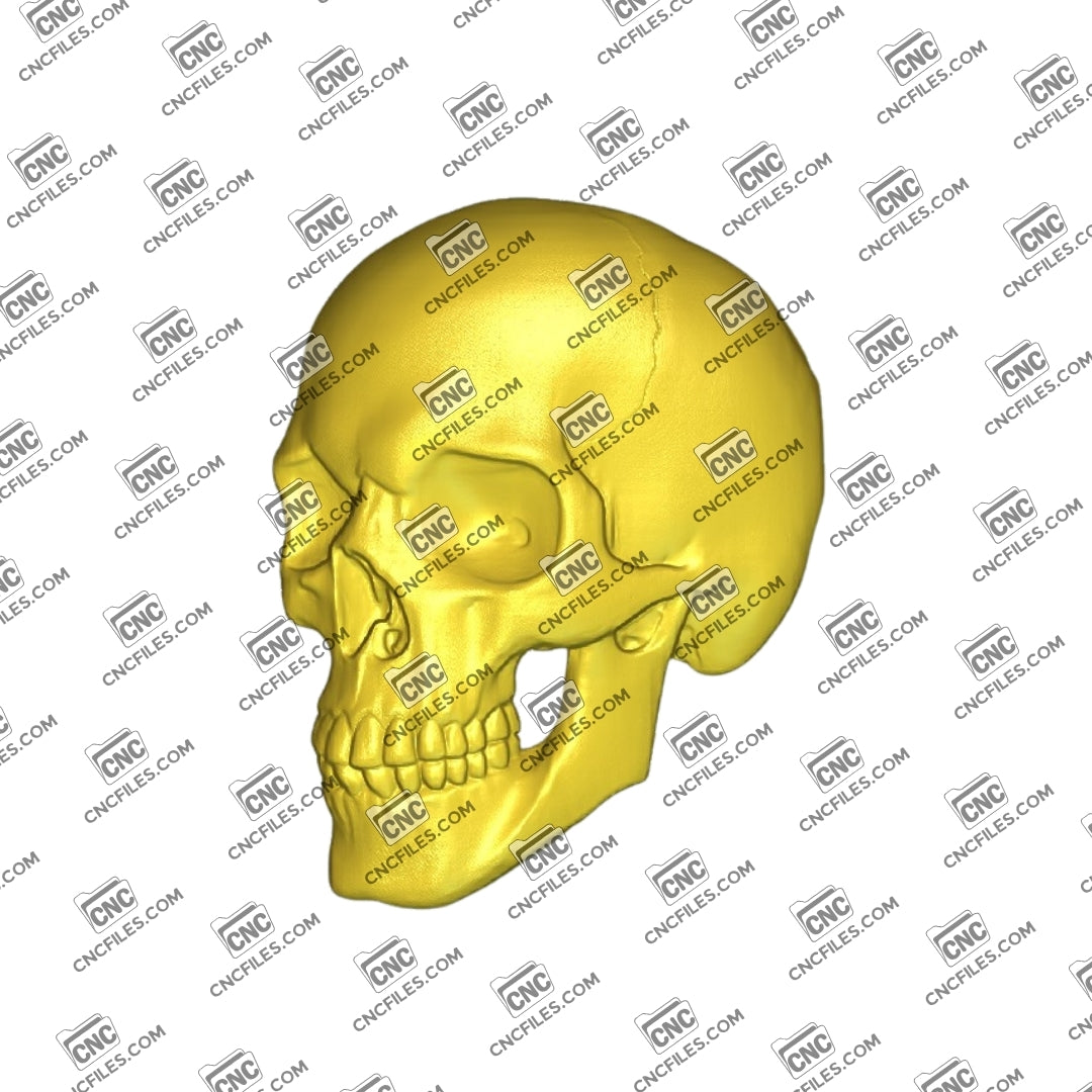 An image of 3D CNC file showing a detailed Skull 3 design, perfect for carving, woodworking, or decorative projects.