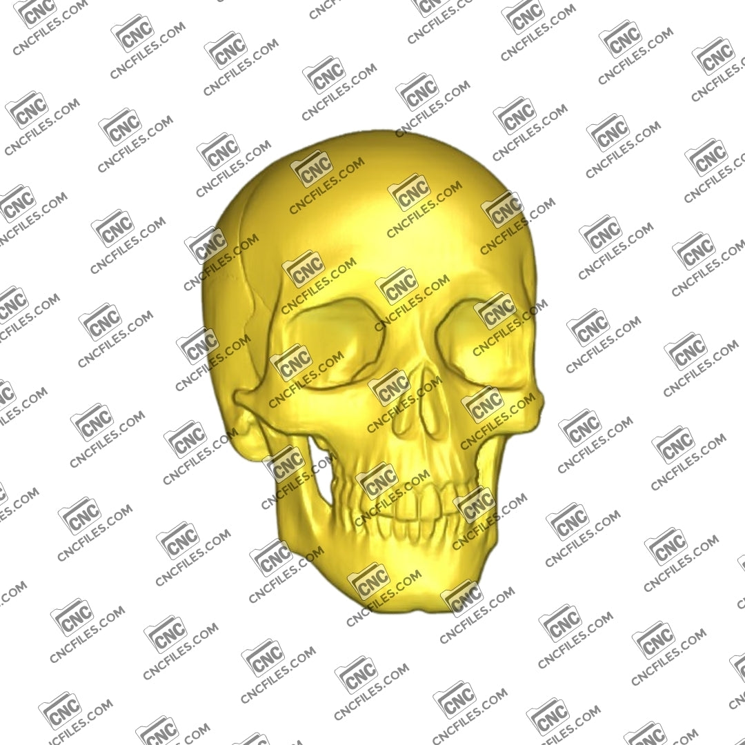 An image of 3D CNC file showing a detailed Skull 1 design, perfect for carving, woodworking, or decorative projects.