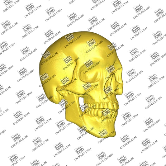 An image of 3D CNC file showing a detailed Skull 2 design, perfect for carving, woodworking, or decorative projects.