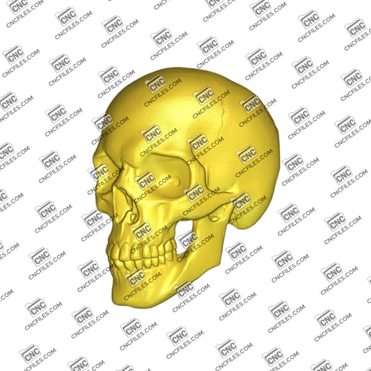 An image of 3D CNC file showing a detailed Skull 3 design, perfect for carving, woodworking, or decorative projects.